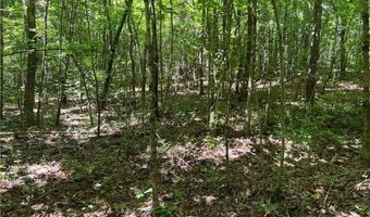 Fortner Road, Ball Ground, GA 30107