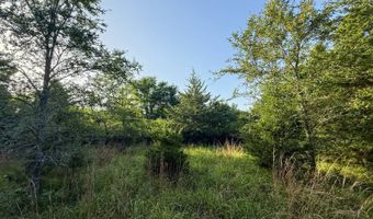 Tract 8 Highway 70, Bennington, OK 74723