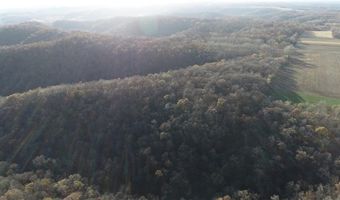 Simons Rd, Alma, WI 54610
