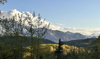 B005 Packsaddle Road, Chickaloon, AK 99674