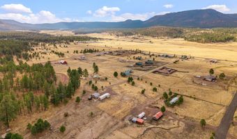 4 County Road 2110, Alpine, AZ 85920