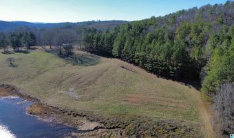 46088 HIGHWAY 77 Lot 0, Ashland, AL 36251