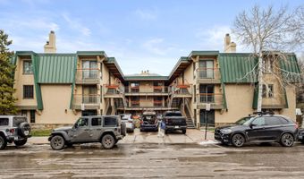 630 E Cooper Ave 2, Aspen, CO 81611