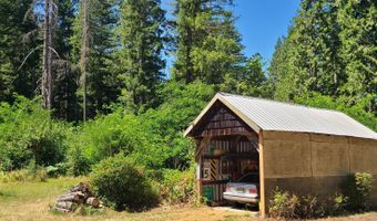 55533 MCKENZIE RIVER Dr, Blue River, OR 97413