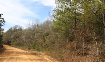140 Collier Rd, Hickory Flat, MS 38633