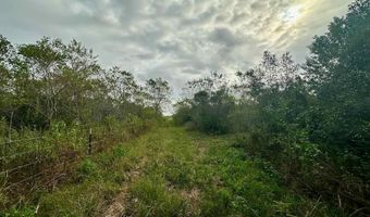 6742 Eagle Rd, Anahuac, TX 77514