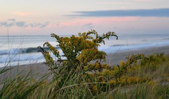22 E 7TH St, Barnegat Light, NJ 08006