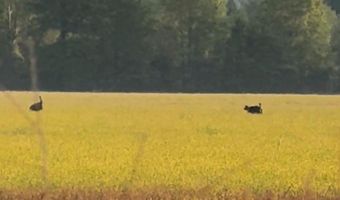 1037 Cr 300, Big Creek, MS 38914