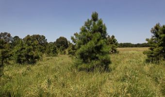 0001 E 1960 Rd, Antlers, OK 74523