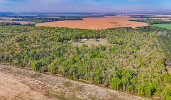 2970 Cooktown Rd, Bainbridge, GA 39817