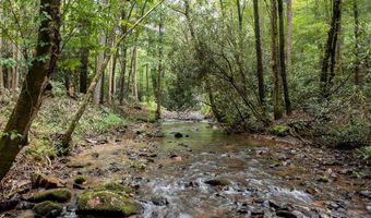 1034 Chestnut Flats Rd, Andrews, NC 28901