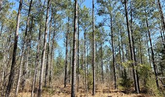 Highway 28, Abbeville, SC 29620