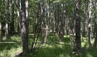 001 Farr Rd, Bolton, MS 39041