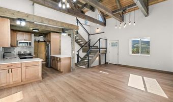 141 N Aspen St, Alma, CO 80420