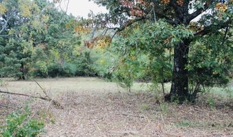 12 99 Ac Vacant Land Logan St, Altus, AR 72821