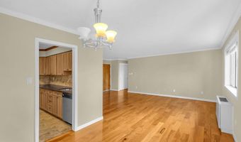 5111 8TH Rd S 407, Arlington, VA 22204