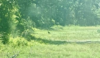 Bolivar Road, Benoit, MS 38725