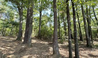 2 Champion Hill Rd, Bolton, MS 39041