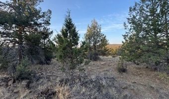 Canvasback Drive, Bonanza, OR 97623