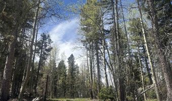 Lot 86 Elk Horn Drive, Angel Fire, NM 87710