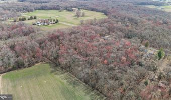 CRYSTAL Road, Hartly, DE 19953