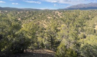 Off Hondo Seco Road, Arroyo Seco, NM 87514