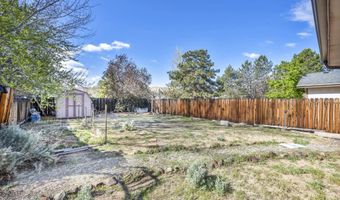 4809 Hells Bells, Carson City, NV 89701