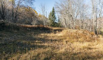 1361 Weaver Hollow Rd, Andes, NY 13731