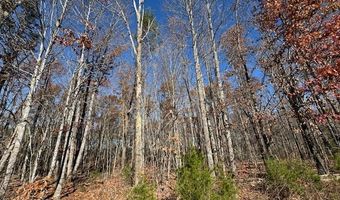 Chestnut Grove Road, Appomattox, VA 24522