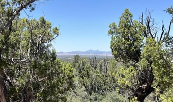 201 Cathedral Valley Rd, Ash Fork, AZ 86320
