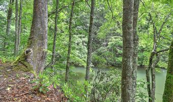 24483 Cave Creek Rd, Abingdon, VA 24211