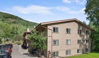 326 Midland Ave 302, Aspen, CO 81611