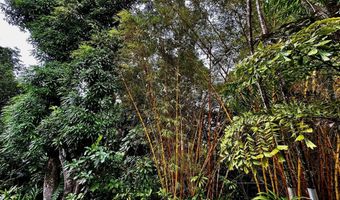 46-359 Haiku Rd B3, Kaneohe, HI 96744