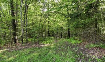 224 King Rd, Alexandria, NH 03222
