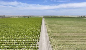 6089 Road 38, Alpaugh, CA 93201