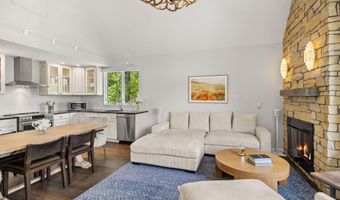 800 S Mill St 6A, Aspen, CO 81611