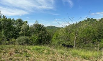 12 Acs Gidsville Rd, Amherst, VA 24521