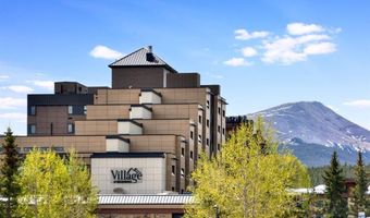 535 S Park Ave 317, Breckenridge, CO 80424