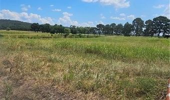 8468 Cambridge Rd, Altus, AR 72821
