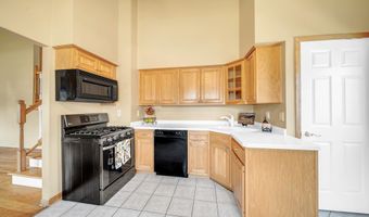 12236 S Hamlin Ave, Alsip, IL 60803