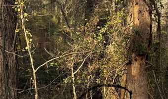 99999 Macedonia Rd, Alexander, NC 28701