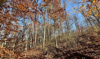 39425 Laurel Rd, Albany, OH 45710