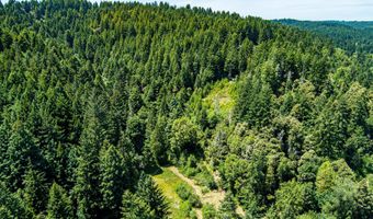 1540 Warren Creek Rd, Arcata, CA 95521