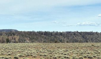 Oregon Pines Road TL 2000, Beatty, OR 97621