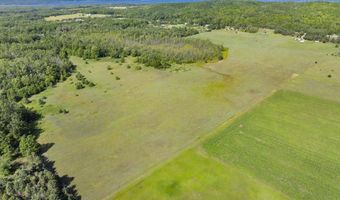 8688 Miller Rd, Alanson, MI 49706