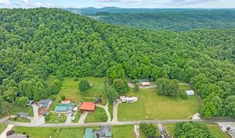 963 Livingston Boat Dock Rd, Allons, TN 38541