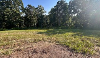 Watauga Lane lot 29, Birchwood, TN 37308
