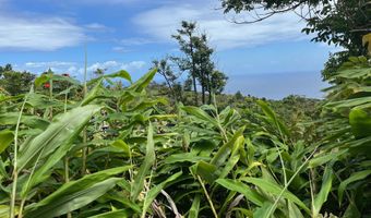 Hana Hwy, Hana, HI 96713
