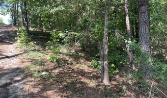 Madelyn Drive 1.18 Acre, Burnettown, SC 29829