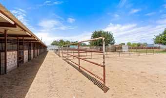 1624 VINTON Rd, Anthony, NM 88021